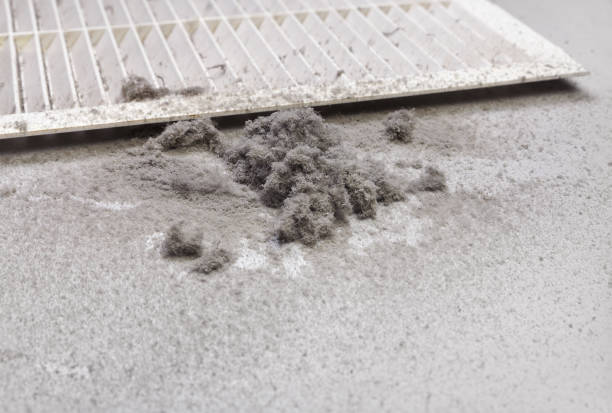 Best Air Duct Cleaning Near Me  in Sidney, MT